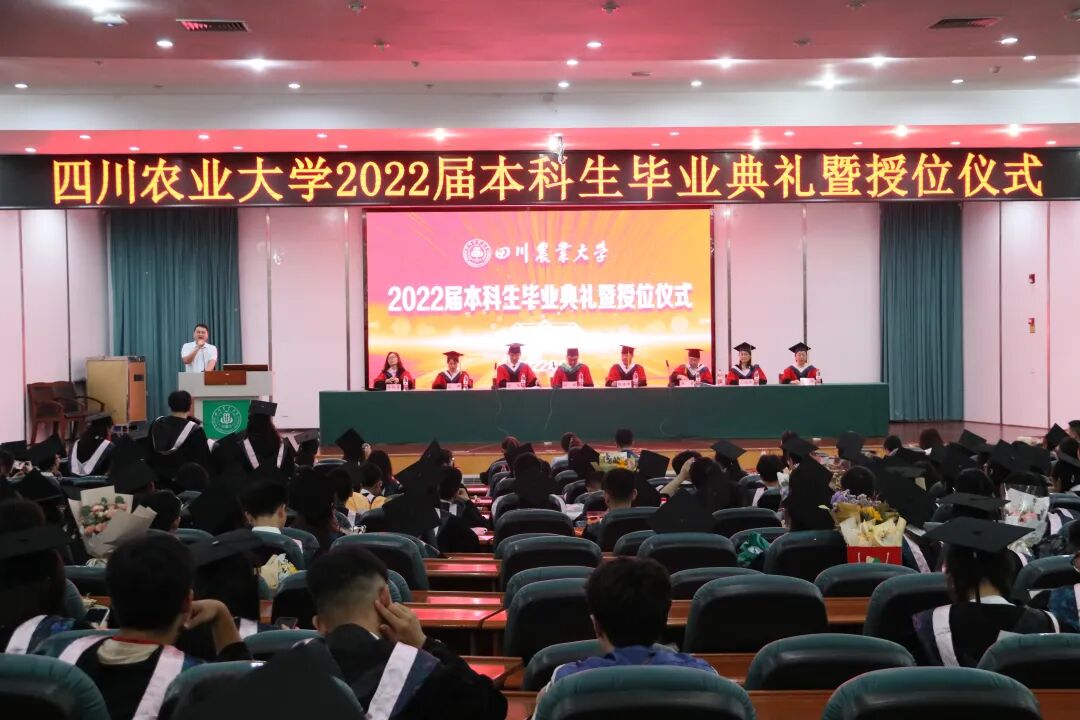 美狮贵宾会