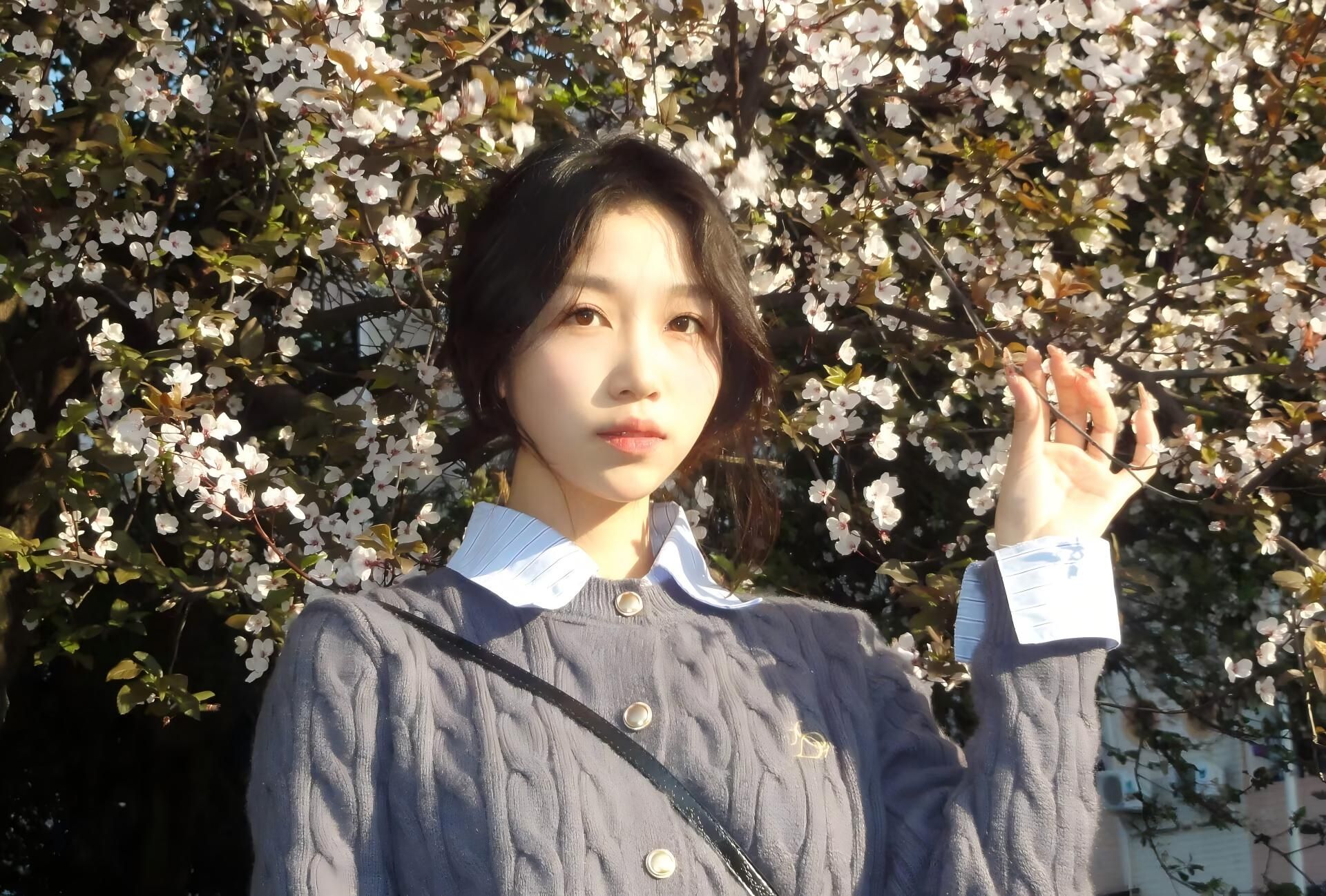 美狮贵宾会