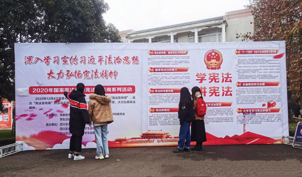 美狮贵宾会