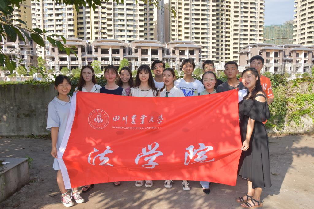 美狮贵宾会