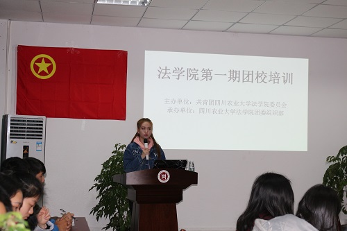 美狮贵宾会