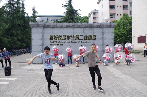 美狮贵宾会