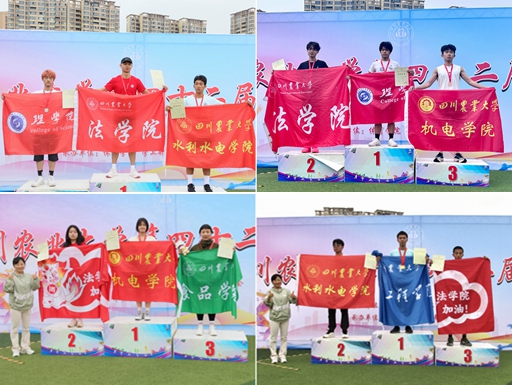美狮贵宾会