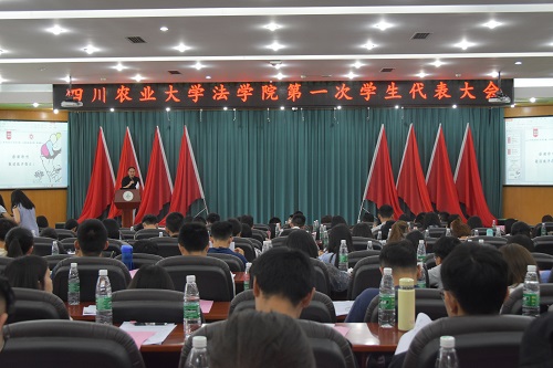 美狮贵宾会