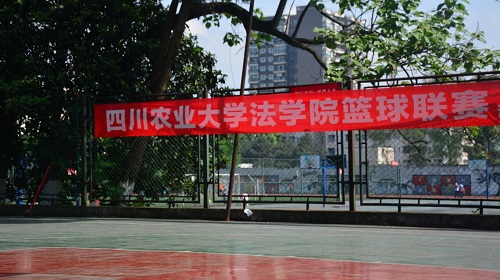 美狮贵宾会