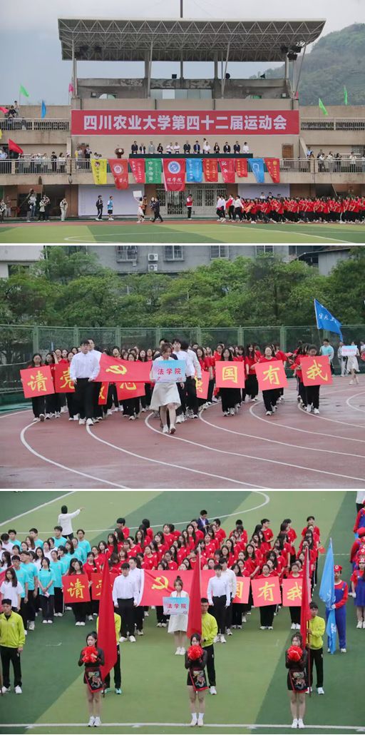 美狮贵宾会