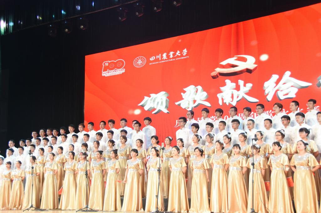 美狮贵宾会
