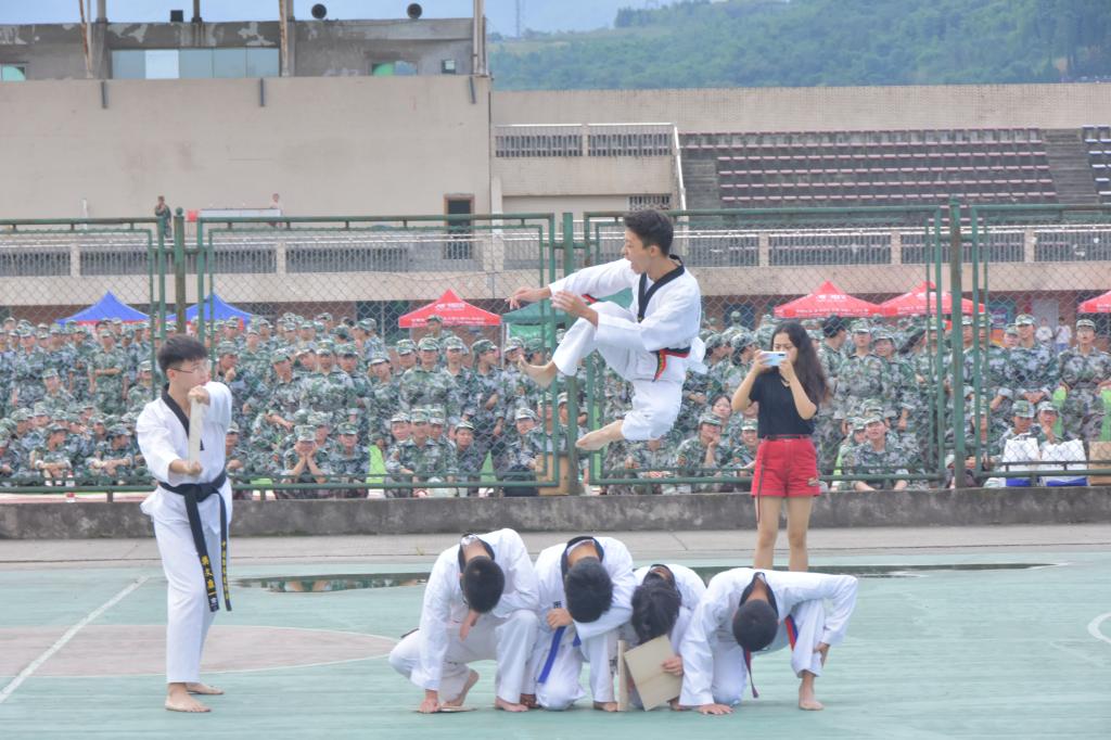 美狮贵宾会