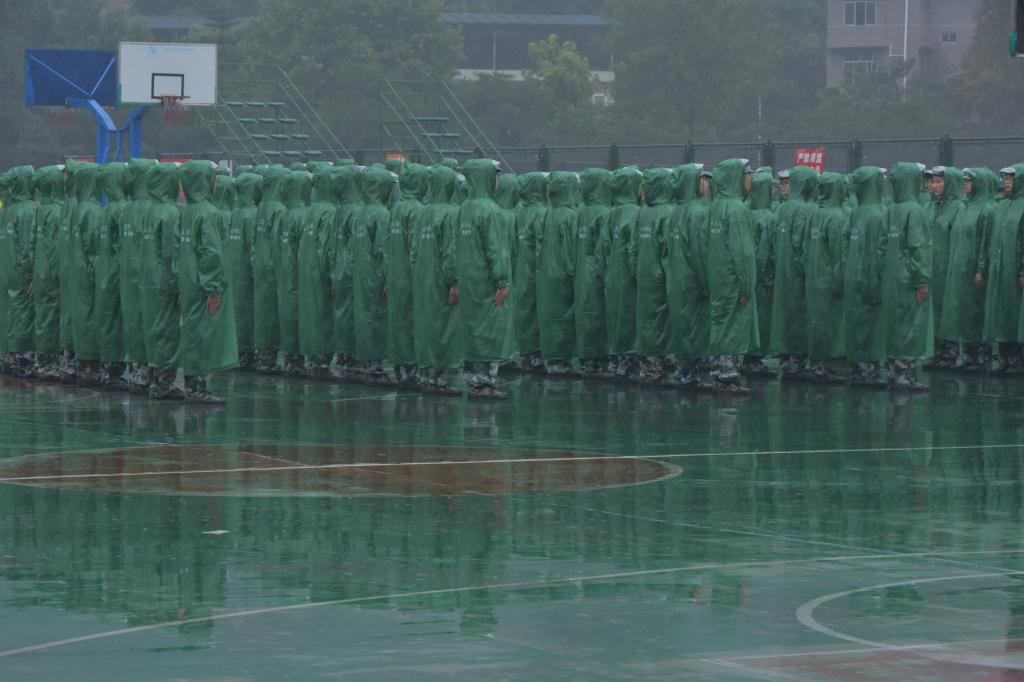 美狮贵宾会