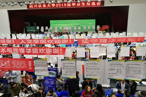 美狮贵宾会