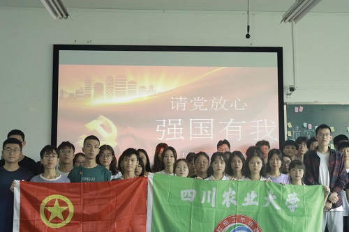 美狮贵宾会