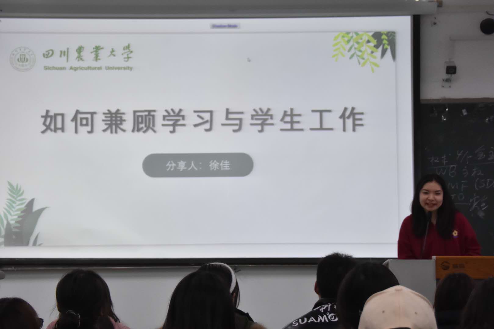美狮贵宾会
